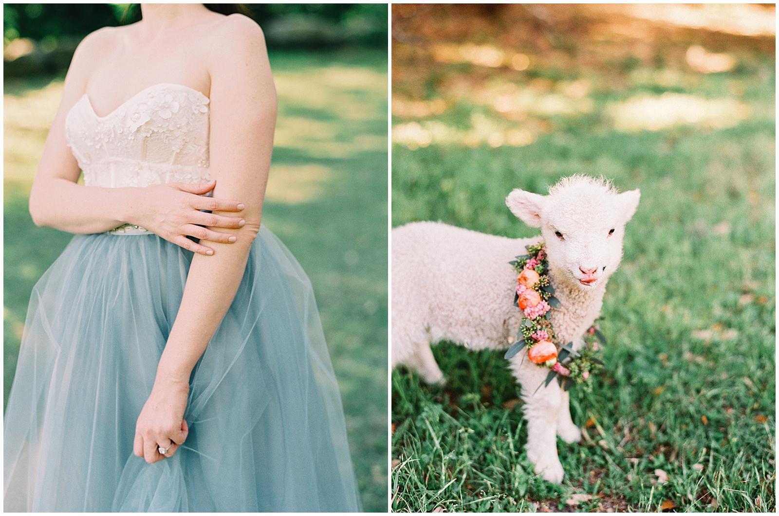 sweet springtime lamb bridal session